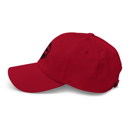 PROSNAX Official 'Dad hat'